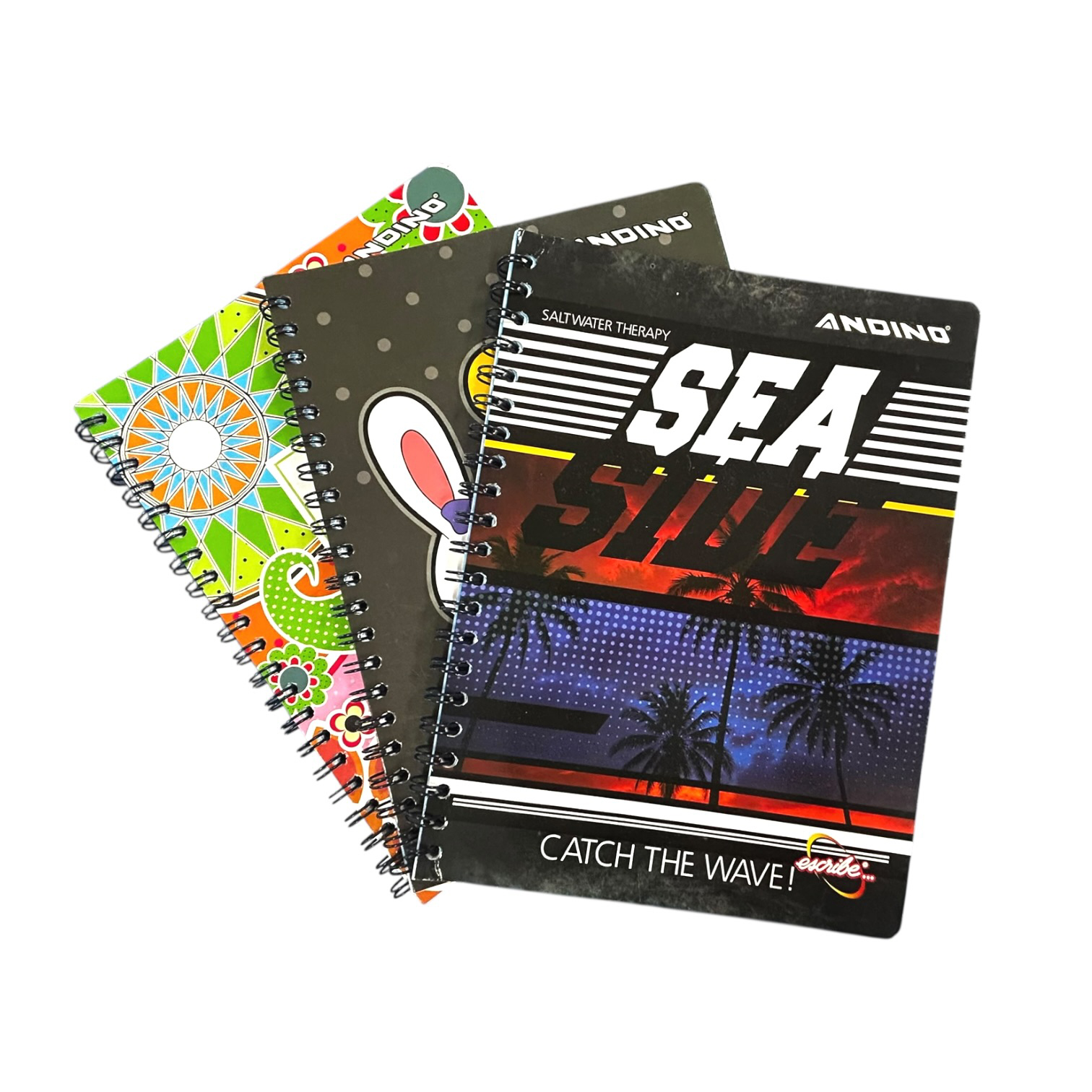 CUAD. Escribe ACAD. 100H CUADROS s/s  (48)